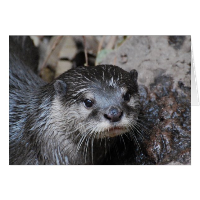 Produkt anpassen (Vorderseite (Horizontal))