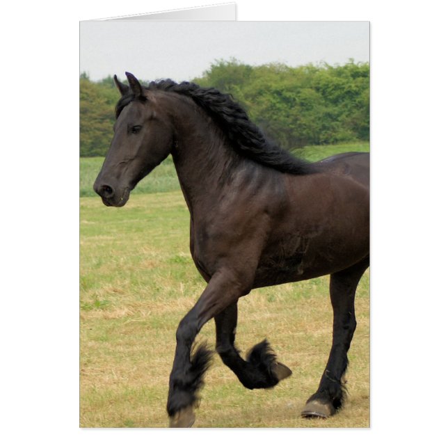 Produkt anpassen (Vorne)