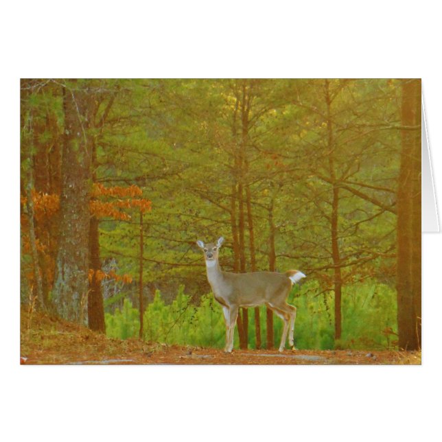 Produkt anpassen (Vorderseite (Horizontal))