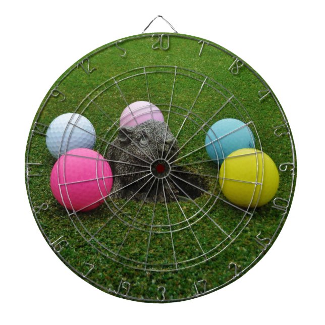 Produkt anpassen dartscheibe (vorne)