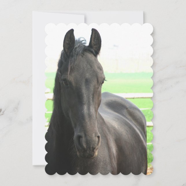 Produkt anpassen einladung (Vorderseite)