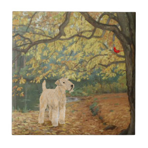 Produkt anpassen fliese