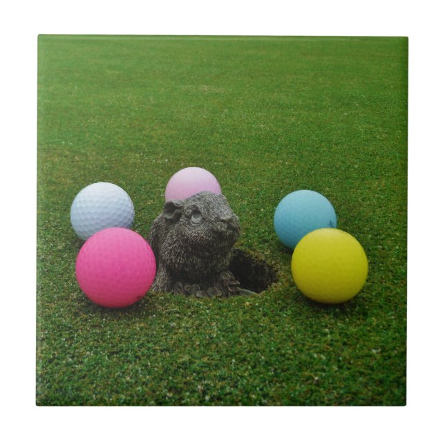 Produkt anpassen fliese (Vorderseite)