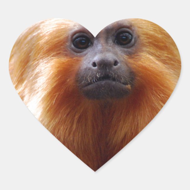 Produkt anpassen Herz-Aufkleber (Vorderseite)