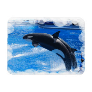 Produkt anpassen magnet