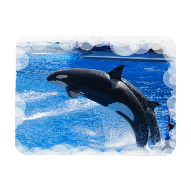 Produkt anpassen magnet (Horizontal)