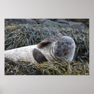 Produkt anpassen poster