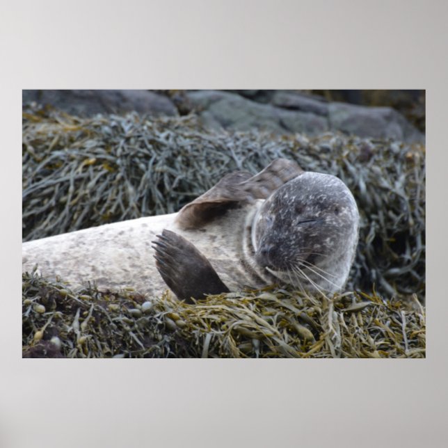 Produkt anpassen poster (Vorne)