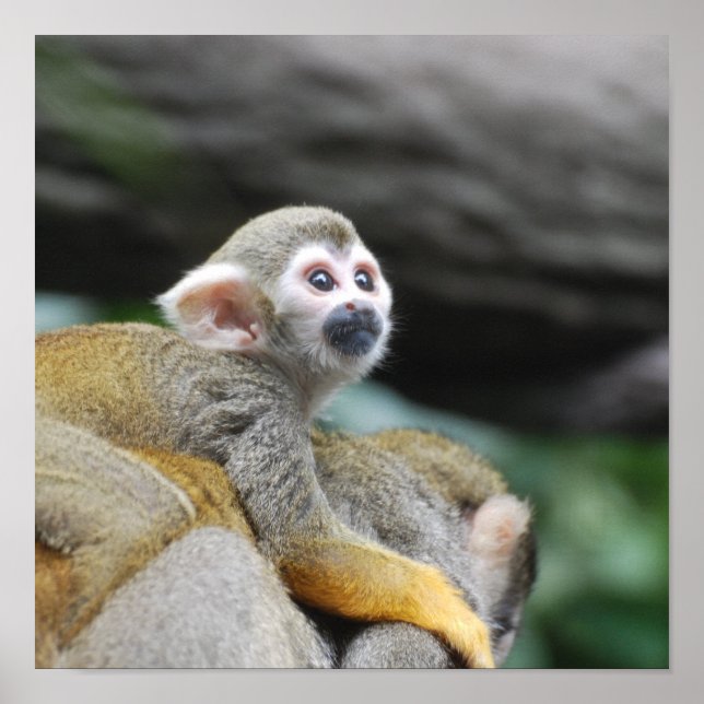 Produkt anpassen poster (Vorne)