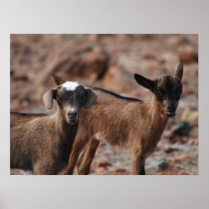 Produkt anpassen poster