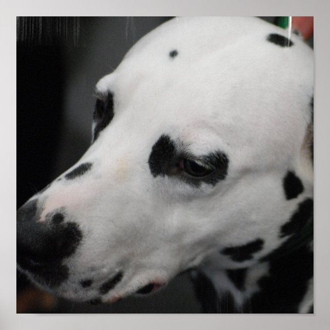 Produkt anpassen poster (Vorne)