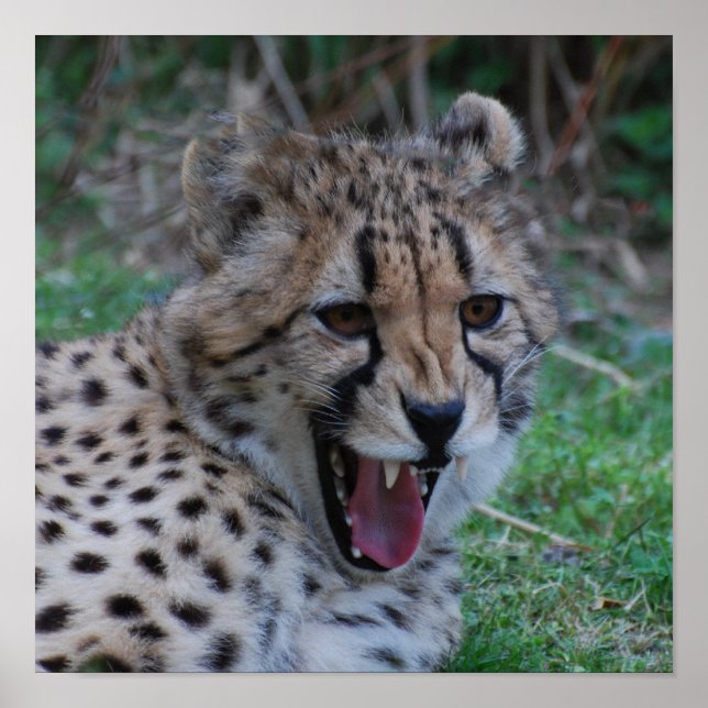 Produkt anpassen poster (Vorne)