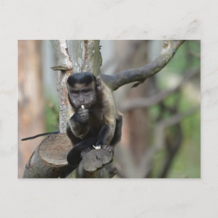 Produkt anpassen postkarte