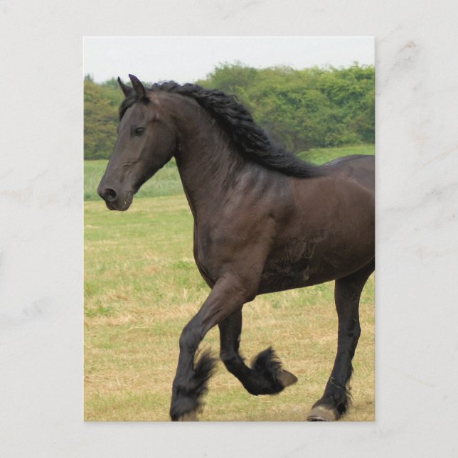 Produkt anpassen postkarte (Vorderseite)