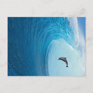 Produkt anpassen postkarte