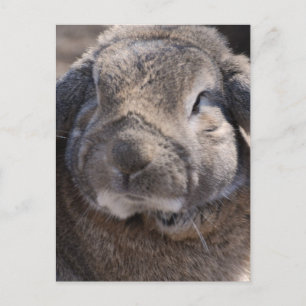 Produkt anpassen postkarte