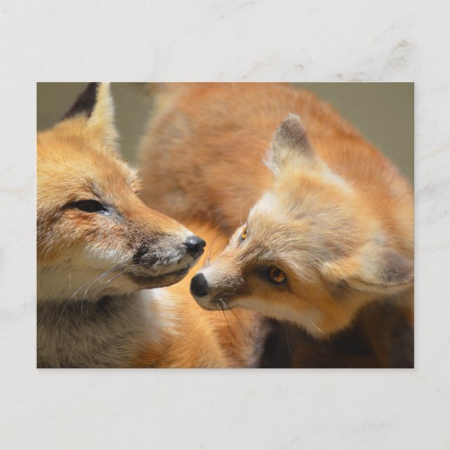 Produkt anpassen postkarte (Vorderseite)