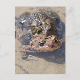 Produkt anpassen postkarte