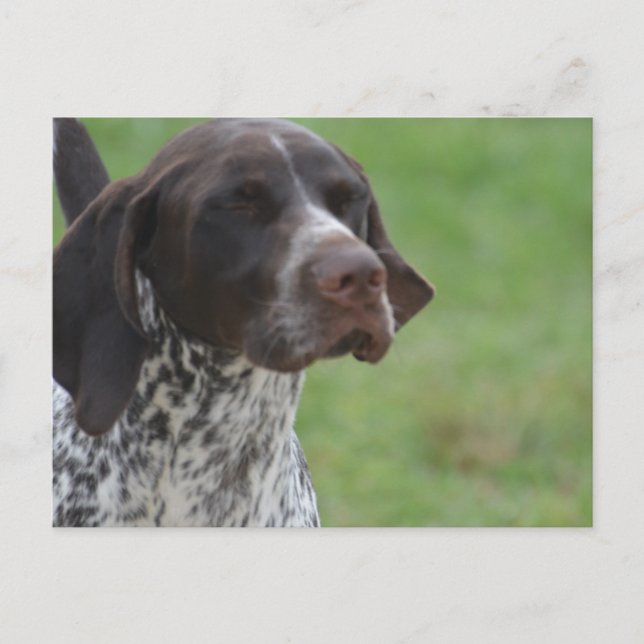 Produkt anpassen postkarte (Vorderseite)