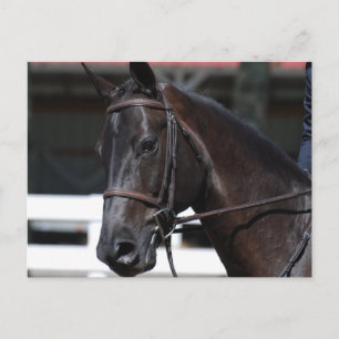 Produkt anpassen postkarte