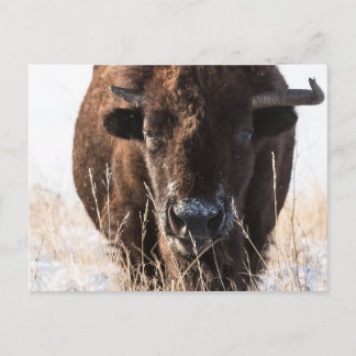 Produkt anpassen postkarte