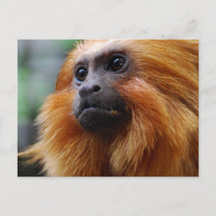 Produkt anpassen postkarte