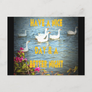 Produkt anpassen postkarte