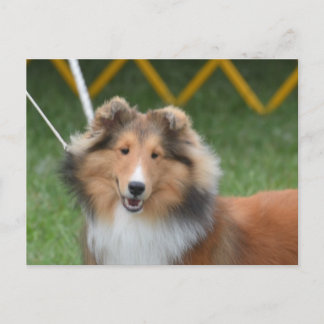 Produkt anpassen postkarte