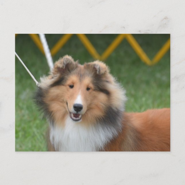 Produkt anpassen postkarte (Vorderseite)