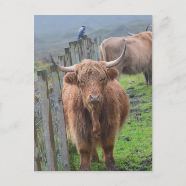 Produkt anpassen postkarte (Vorderseite)