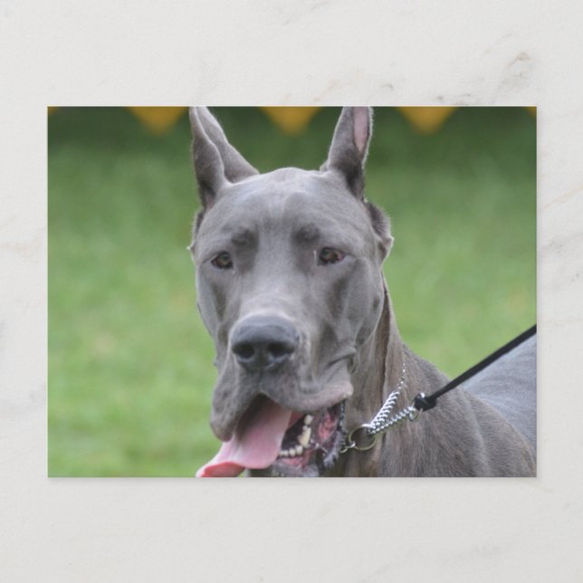 Produkt anpassen postkarte (Vorderseite)