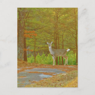 Produkt anpassen postkarte