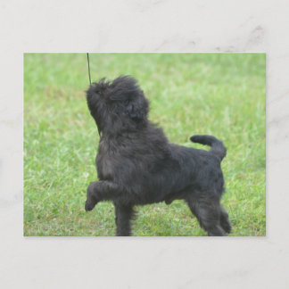 Produkt anpassen postkarte