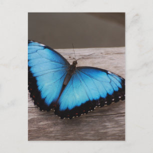 Produkt anpassen postkarte