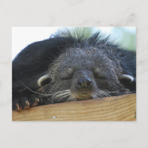 Produkt anpassen postkarte