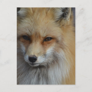 Produkt anpassen postkarte