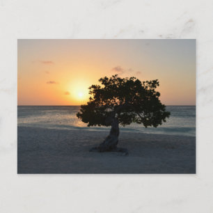 Produkt anpassen postkarte