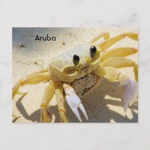 Produkt anpassen postkarte