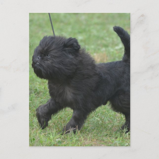 Produkt anpassen postkarte (Vorderseite)