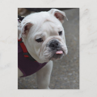 Produkt anpassen postkarte