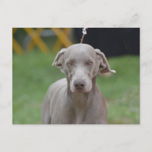 Produkt anpassen postkarte