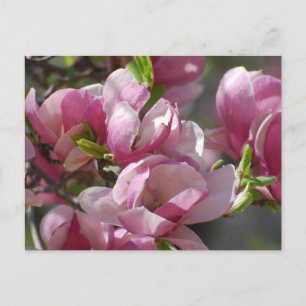 Produkt anpassen postkarte