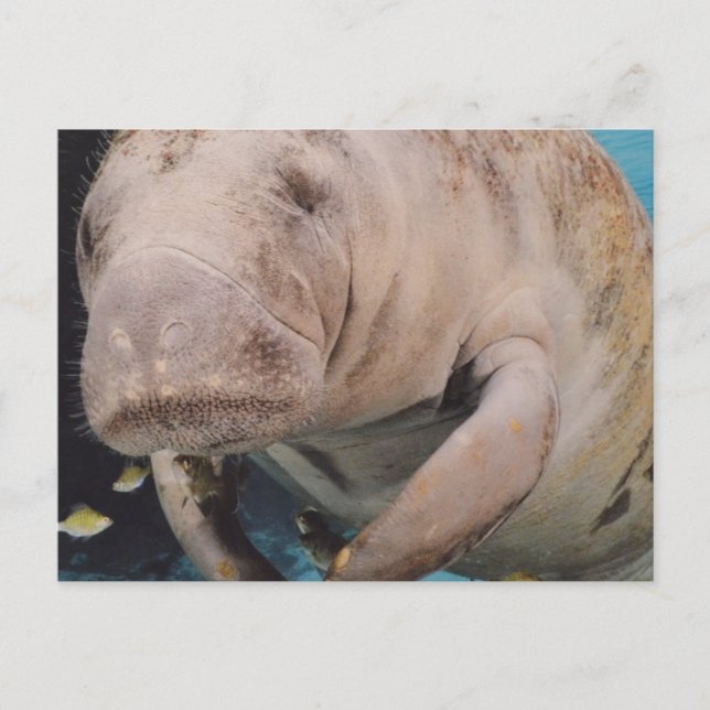 Produkt anpassen postkarte (Vorderseite)