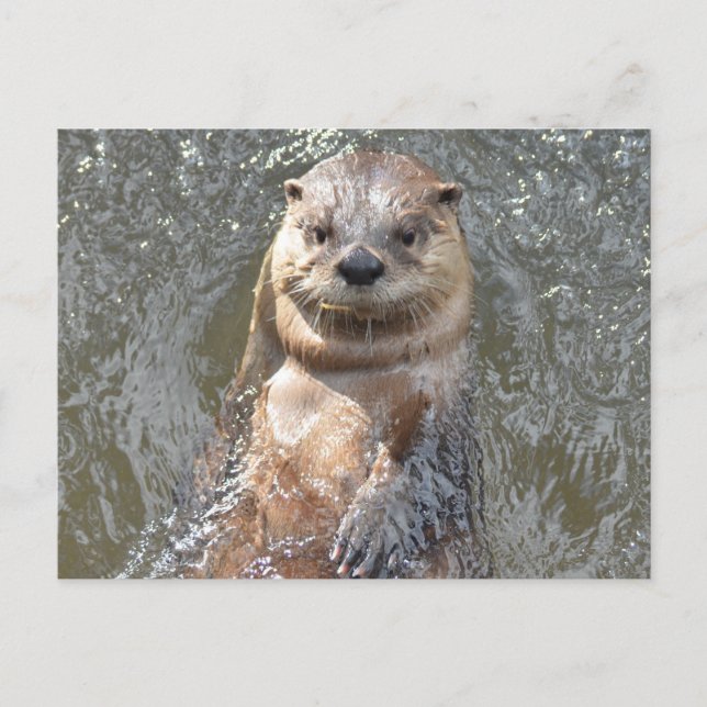 Produkt anpassen postkarte (Vorderseite)