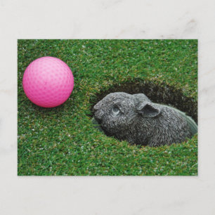 Produkt anpassen postkarte