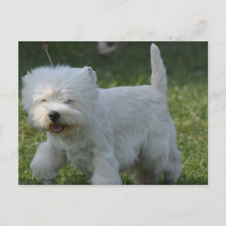 Produkt anpassen postkarte