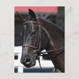 Produkt anpassen postkarte