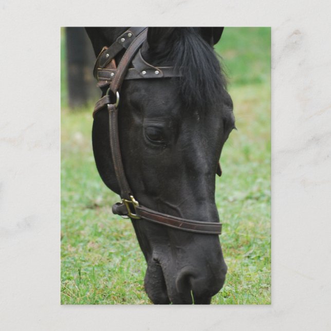 Produkt anpassen postkarte (Vorderseite)