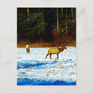 Produkt anpassen postkarte