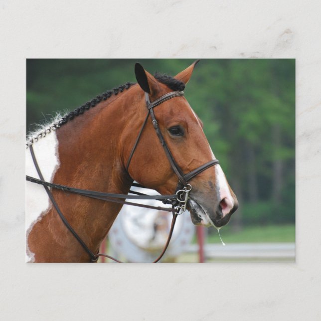Produkt anpassen postkarte (Vorderseite)